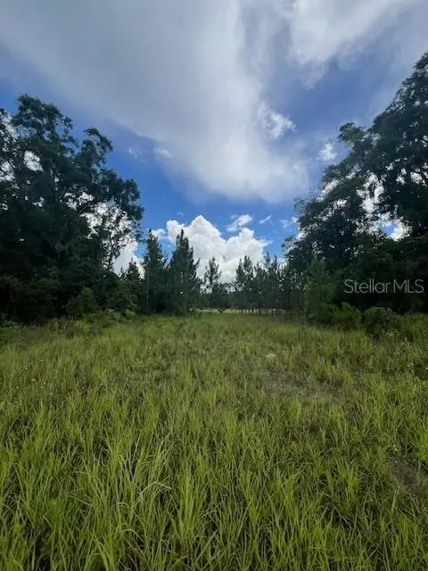 US HWY 441, High Springs, FL 32643
