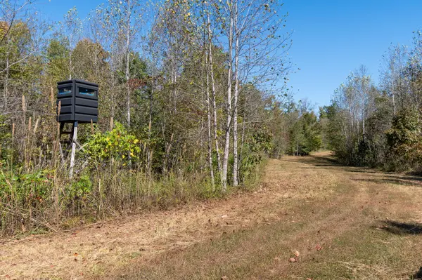 1036 Mason Bates Bend Rd, Centerville, TN 37033