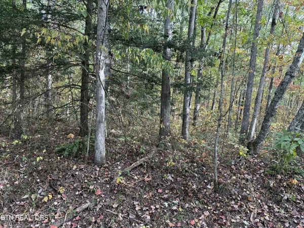 0 Copley Cemetery Rd, Jamestown, TN 38556