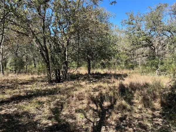 TBD Flash CIR, Luling, TX 78648