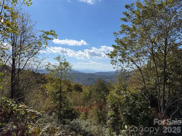2 Ridge Top LOOP, Mars Hill, NC 28754