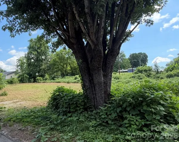 12 Alabama AVE, Marion, NC 28752