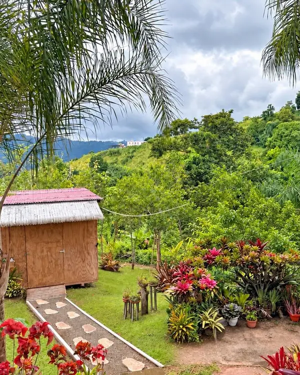 2 CALLE MUÑOZ RIVERA PMB 50, Lares, PR 00669