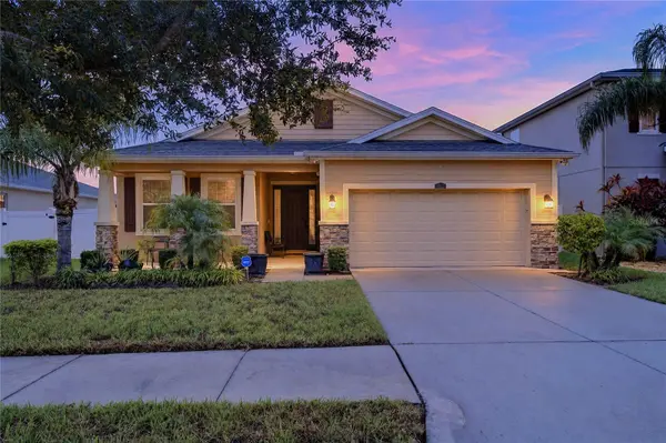 10619 SCENIC HOLLOW DR, Riverview, FL 33578