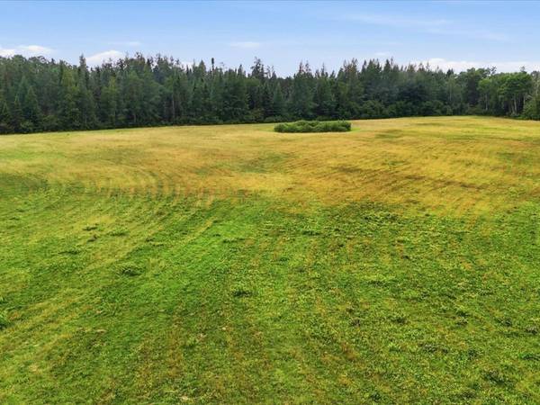 TBD 1 County Rd 904, Babbitt, MN 55706
