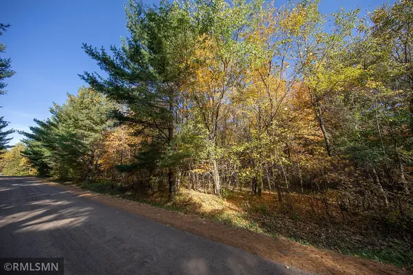 tbd Cambridge DR, Stanchfield, MN 55080