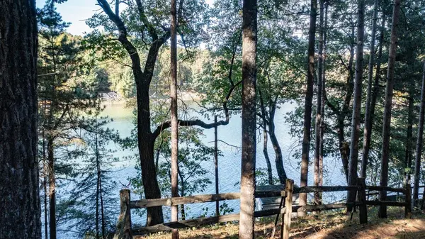 N6619 E LONG LAKE RD, Wild Rose, WI 54984