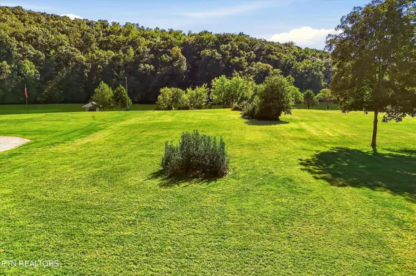 8 Easter Drive, Rockwood, TN 37854