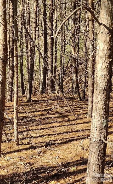 Lot 30 Laurel Valley DR, Marion, NC 28752