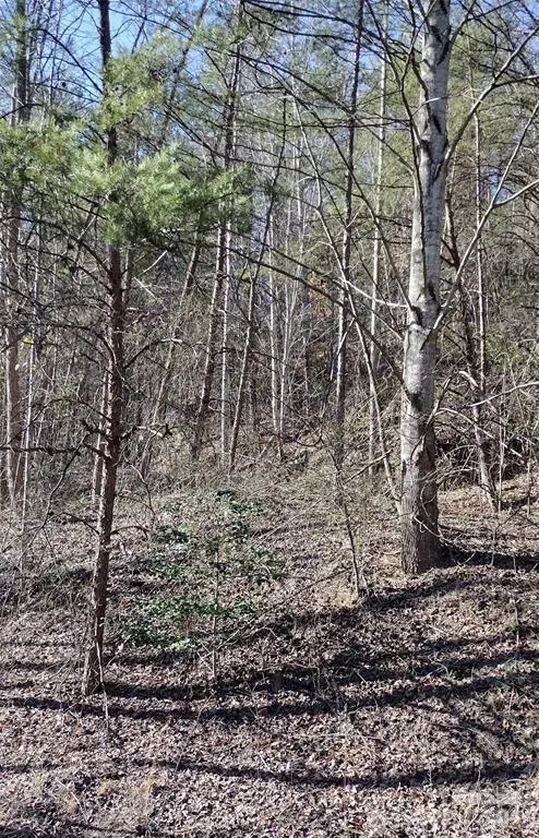 Lot 30 Laurel Valley DR, Marion, NC 28752