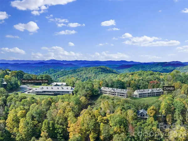 2521 Wolf Laurel RD #101, Mars Hill, NC 28754