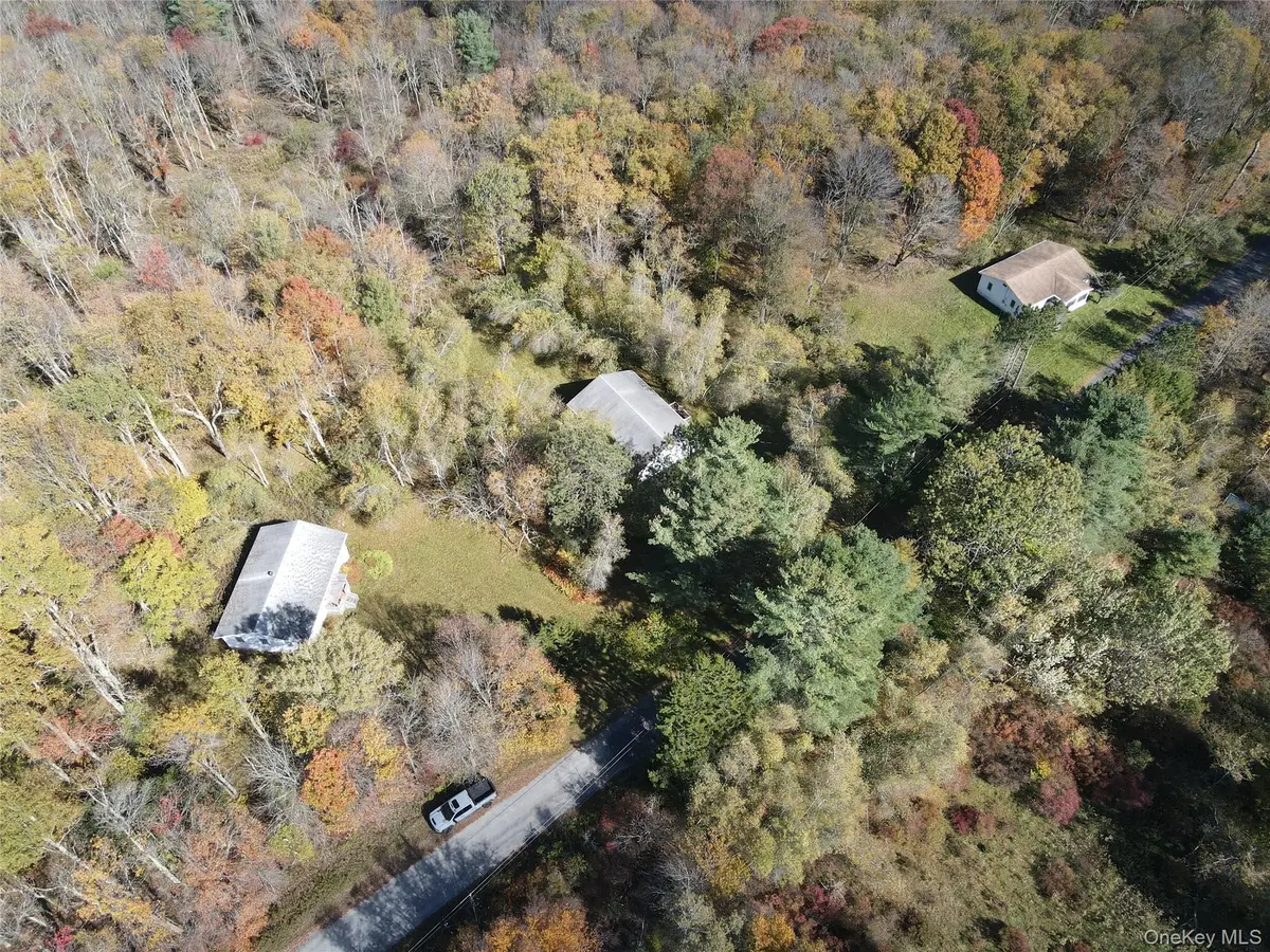 204-214 Okeefe Hill RD, Parksville, NY 12768
