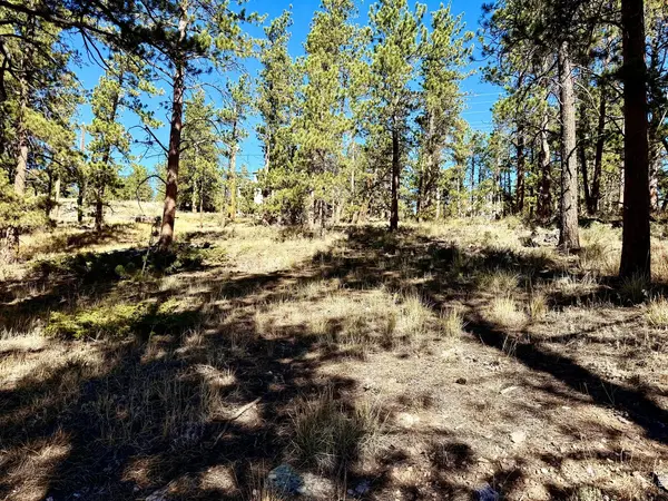 24210 W County Road 74e, Red Feather Lakes, CO 80545