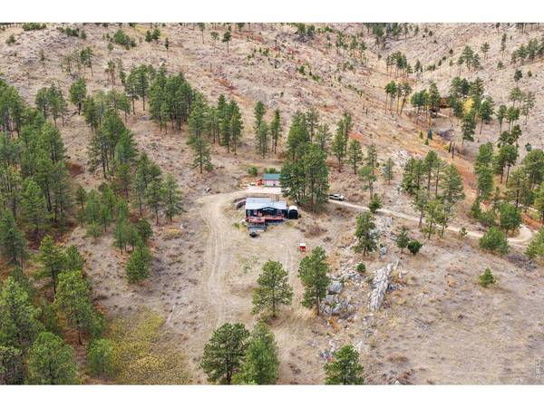 146 Wild Turkey, Drake, CO 80515