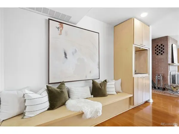 909 N Logan #A, Denver, CO 80203