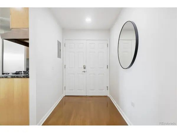 909 N Logan #A, Denver, CO 80203