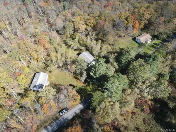 204-214 Okeefe Hill RD, Parksville, NY 12768