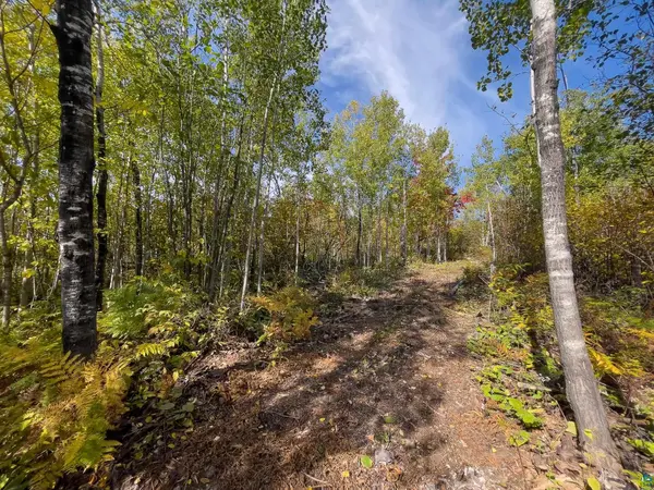 52XX Ramsdell Heights, Silver Bay, MN 55614
