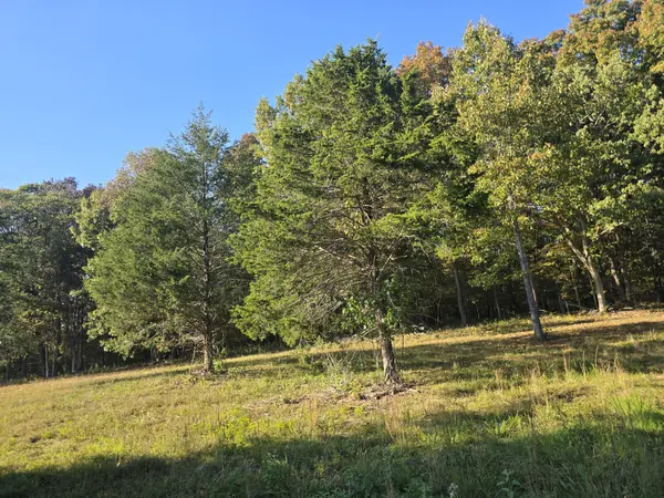 0 Kedron Rd, Spring Hill, TN 37174