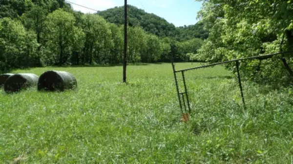 5155 Brimstone Creek Rd, Moss, TN 38575
