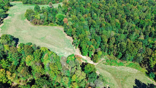 0 Norris Hollow Rd, Vanleer, TN 37181