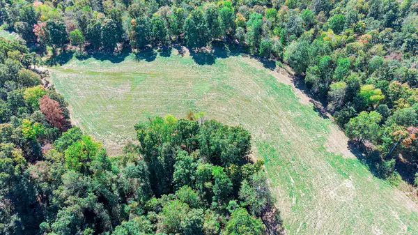 0 Norris Hollow Rd, Vanleer, TN 37181