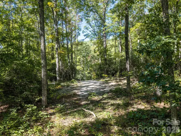 TBD Orange Plum LN #4, Asheville, NC 28803