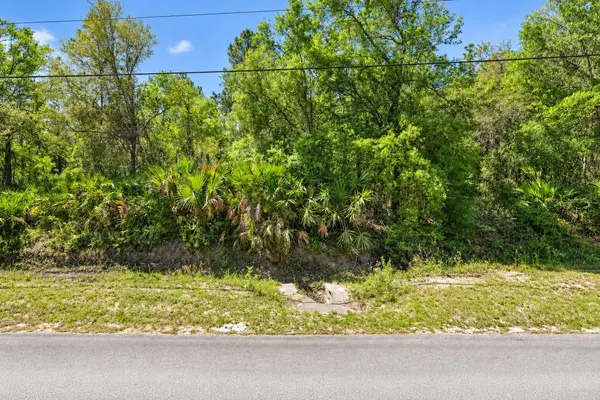 2534 LANCEWOOD ST, Bunnell, FL 32110