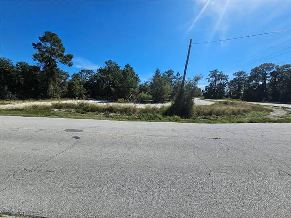 NORTHERN AVE, Leesburg, FL 34788