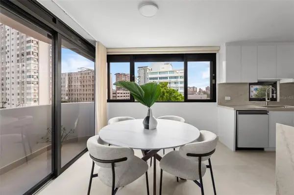 1404 MAGDALENA STREET #501, San Juan, PR 00907