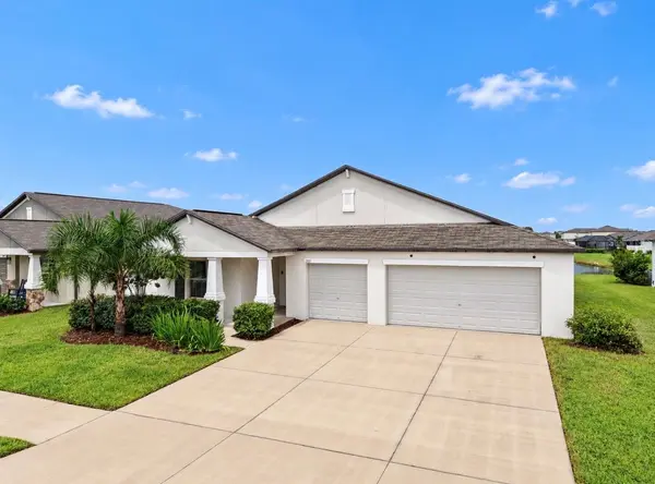 11911 FIELD THISTLE CT, Riverview, FL 33579