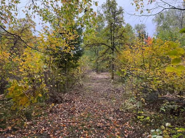 51315 Sand Creek Rd, Bruno, MN 55712