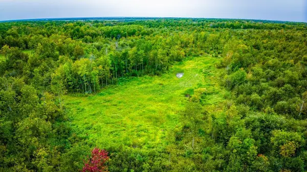 12479 Battle RD NE, Blackduck, MN 56630