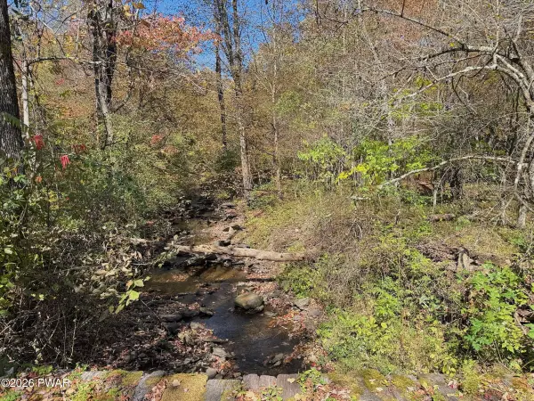 909 Pine Mill RD, Equinunk, PA 18417