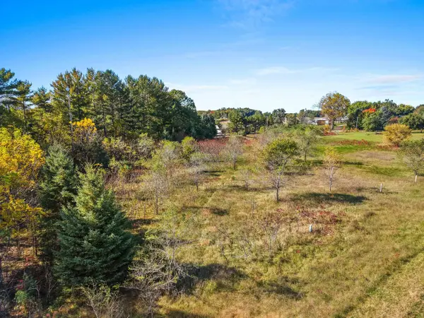 N157 COUNTY ROAD W, Fremont, WI 54940