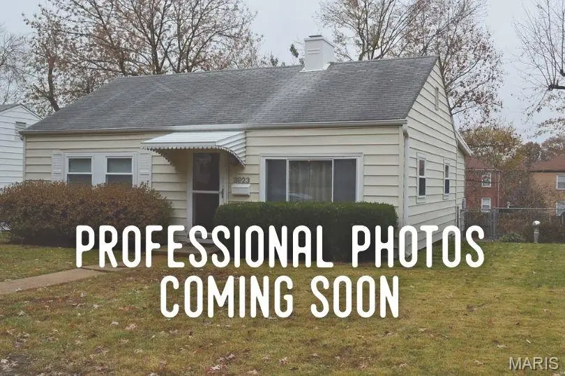 3923 Wenzlick AVE, St Louis, MO 63109