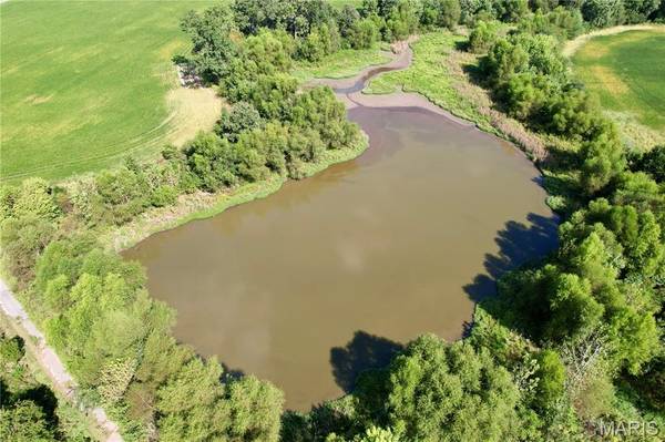 1305 Bethel RD, Odin, IL 62870