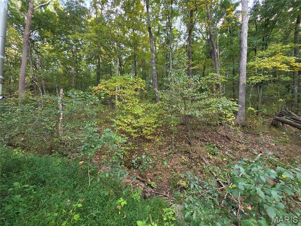 17250 Boyd, Unincorporated, MO 63670