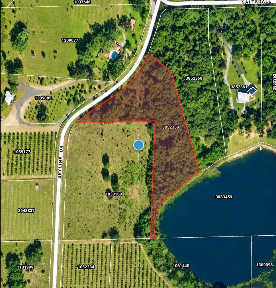 SKYLINE DR, Umatilla, FL 32784