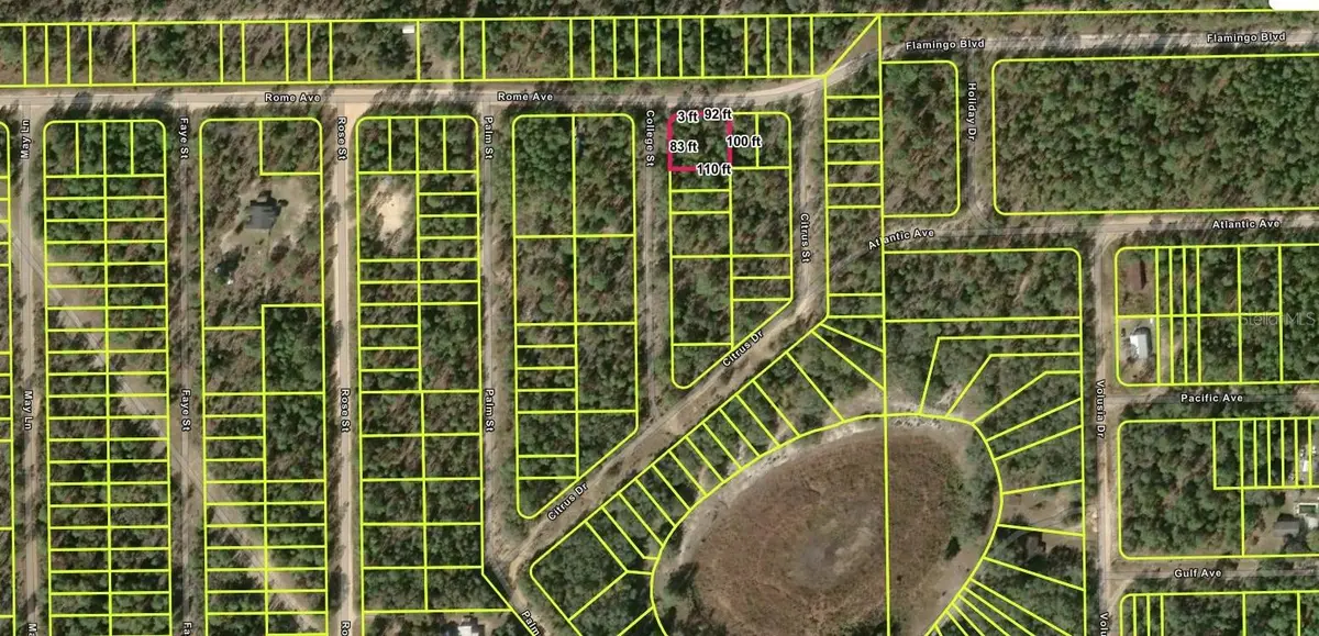 113 ROME AVE, Interlachen, FL 32148