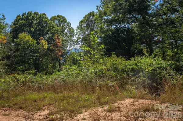 21 W Keesler ST, Black Mountain, NC 28711