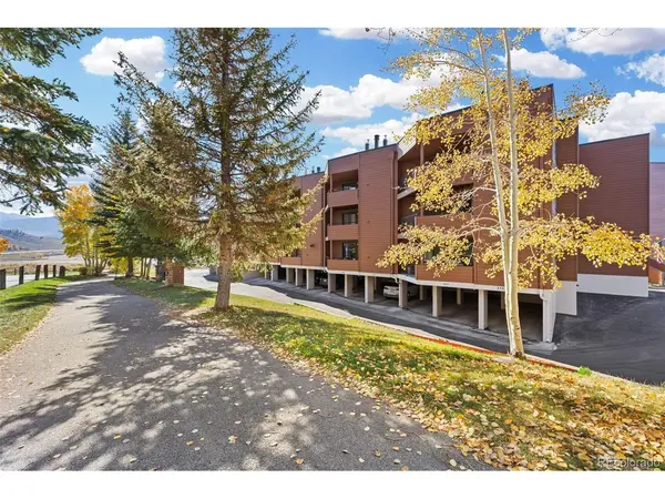 188 E La Bonte #319, Dillon, CO 80435