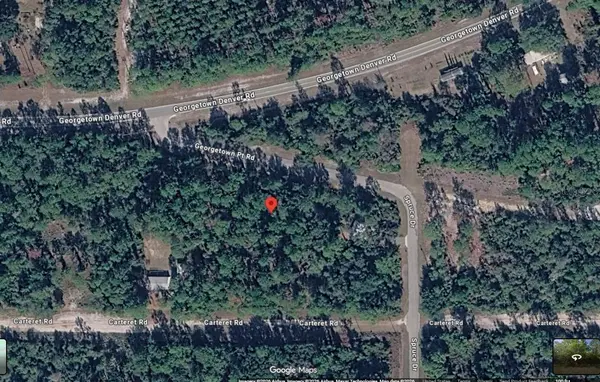 109 S GEORGETOWN POINT RD, Georgetown, FL 32139