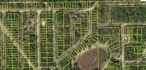 113 ROME AVE, Interlachen, FL 32148