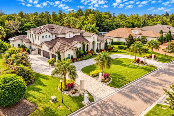 17032 COMUNIDAD DE AVILA, Lutz, FL 33548