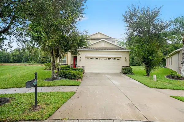 20443 AUTUMN FERN AVE, Tampa, FL 33647