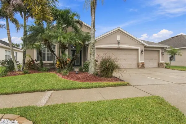 11009 ROCKLEDGE VIEW DR, Riverview, FL 33579