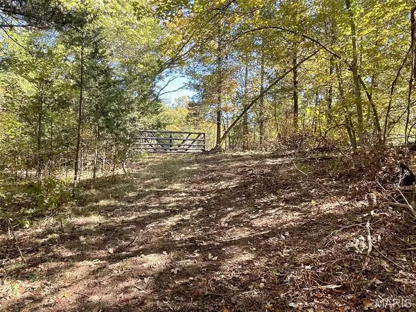 10272 Old Black River Road, Belgrade, MO 63664