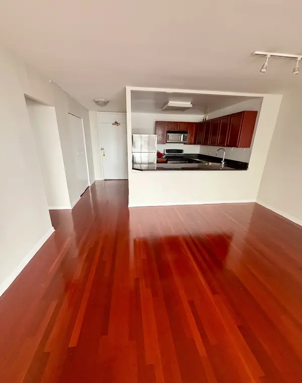 525 W HAWTHORNE PL #2704, Chicago, IL 60657