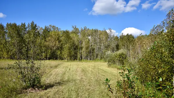 TBD 480th/Cty Rd 3 ST, Palisade, MN 56469